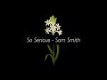So Serious - Sam Smith 샘스미스 가사해석