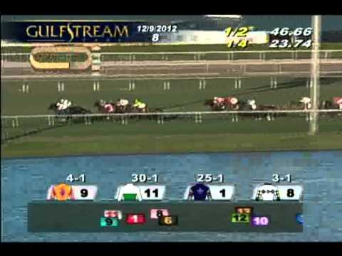 The South Beach Stakes