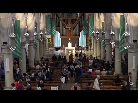 (2019-07-07) July 7, 2019. Mass for the 14th Sunday in Ordinary Time