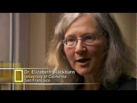 How Stress Affects the Body - National Geographic - Stress - Portrait of a Killer