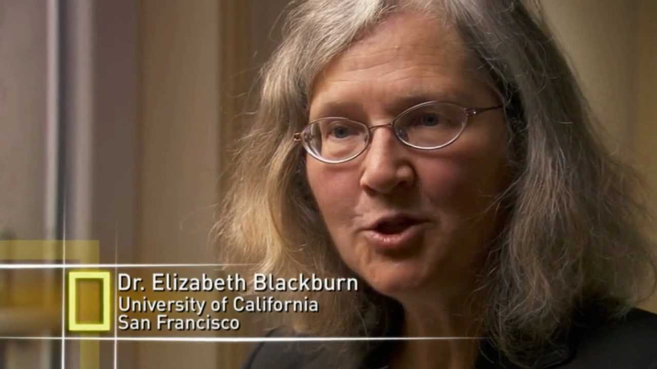 How Stress Affects the Body - National Geographic - Stress - Portrait of a Killer