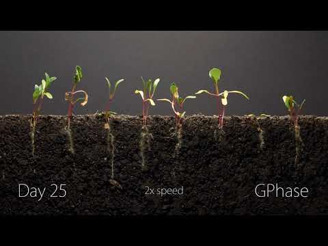 Ala suresi İsmail Biçer (Kısa sureler, okunuşu açıklamada)