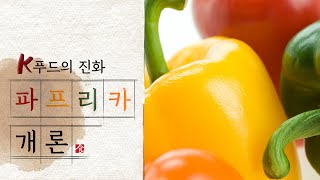 파프리카개론 | K푸드의 진화 ep.4