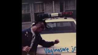 Vaginasore jr - This Here Peninsula (Full Album)