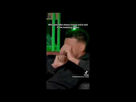 Niko (Male, Rapid sneeze fits)