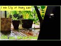 Heavy Rain In Tiruvannamalai With Natural Sounds