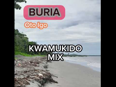 Buria - Oto Igo - Kwamukido Mix