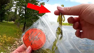 BRUSH HOG vs PLASTIC WORM (Which Lure Catches the Most Bass?)