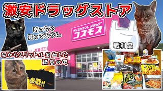 安いと評判のドラッグストア コスモスはホントにお安いんですか!?【猫ミーム】