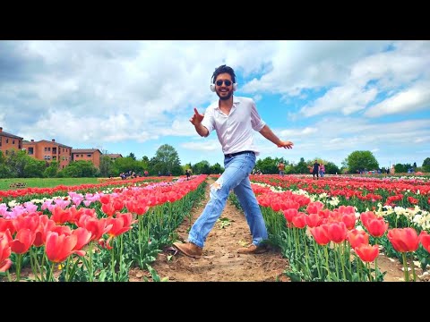 Jeriko dance at TuliPark - Odd Chap - Diamond - #neoswing