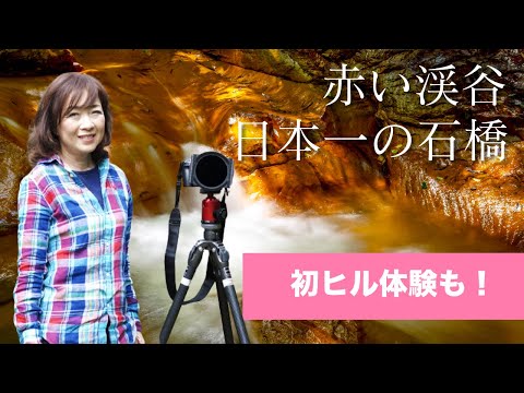 ヨーロッパの干ばつ:ガースト氏が「塵、砂、煙」の写真を見せる