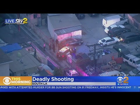 2 Men Killed, One Wounded When Gunfire Erupts At South LA Party