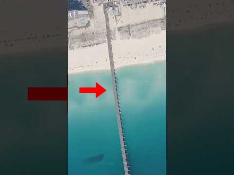 I fished Florida’s BEST Fishing Pier 🎣 #fishing #fish