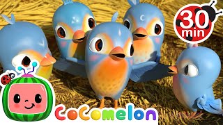 Five Little Birds and More!  CoComelon Furry Frien