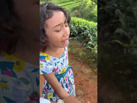 Zaiba Lost Cute Cat 😭Part-1 #shorts #short