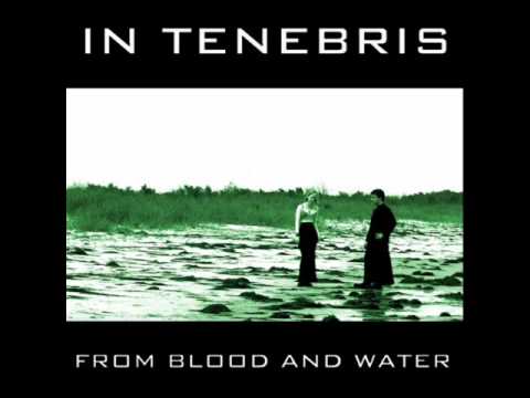 In Tenebris - Transcendence