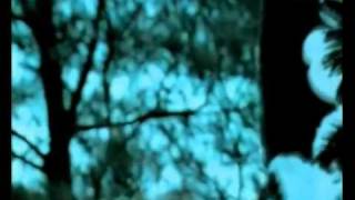 SPL Music Video