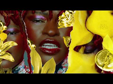 Deize Tigrona - Sururu das Meninas prod. MALKA (Áudio Oficial) | Foi Eu Que Fiz