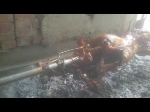 Mitsko bice Nоvo Milosevo Beodra/ Митско биће Нoво Милошево Беодра