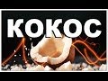 Галилео. Кокос 