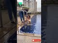 Tisca Chopra Swimming Pool Shoot Tiscachopra Pool Swimming Shortsfeed Shorts Viral Youtube