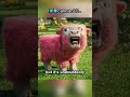 Minecraft Movie 2