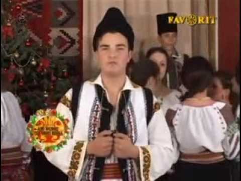 Razvan Grigoras -Codrule cu cinci izvoare