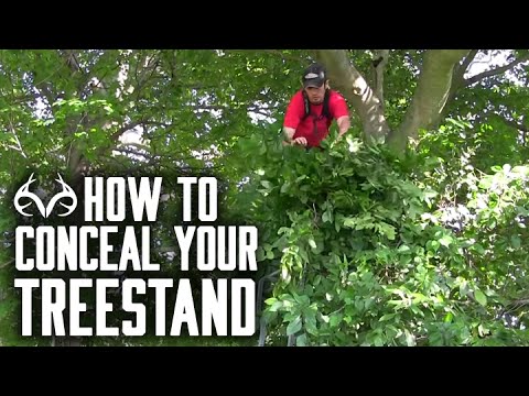 How To Conceal Treestands