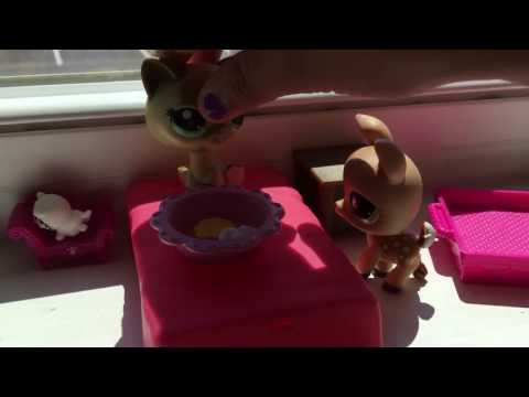 lps Cinderella part 1