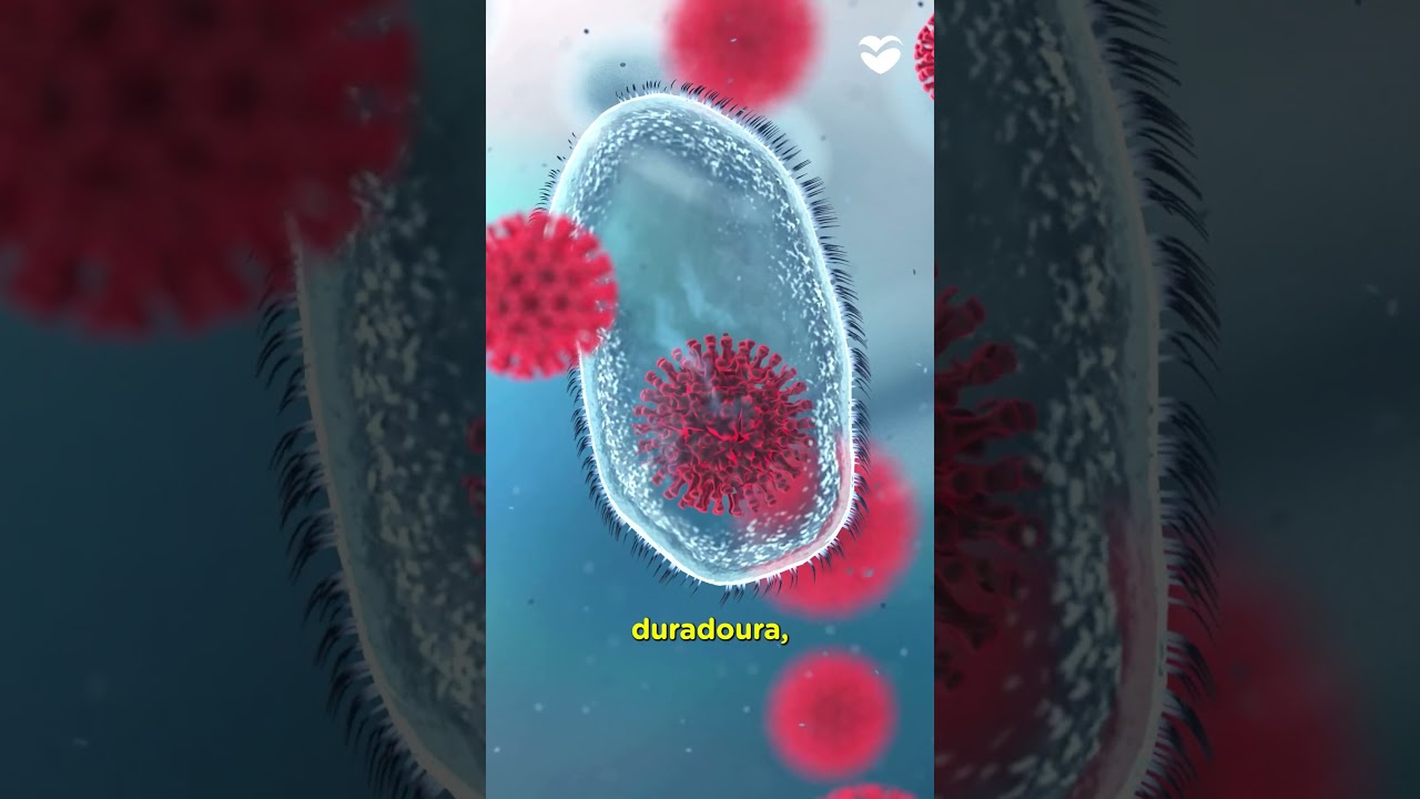 Entenda como funcionam as #vacinas neste Dia Nacional da Imunização #hospitalmoriah