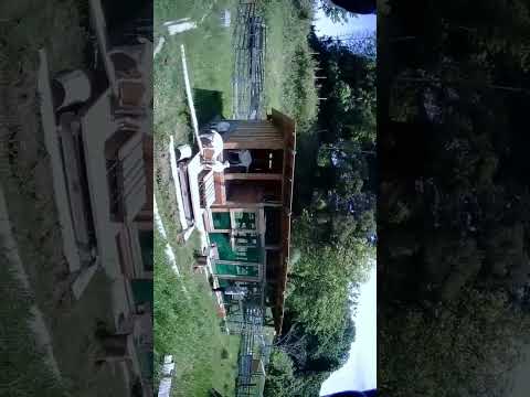 なぜ鶏にお酢を与えるのでしょうか？鶏小屋で何の役に立つの？  庭園