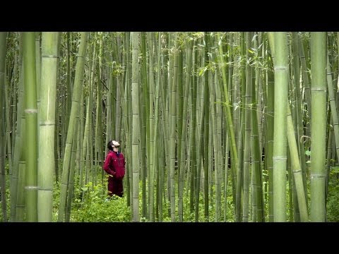 日本的自行車（完整紀錄片 (Japan by Bicycle (Complete Documentary))