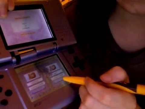 Petz : Ma Famille Chiots Nintendo DS