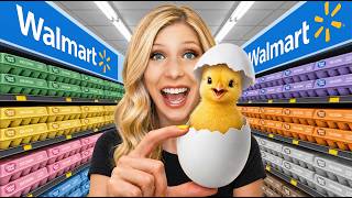 Hatching Grocery Store Eggs as Pets!