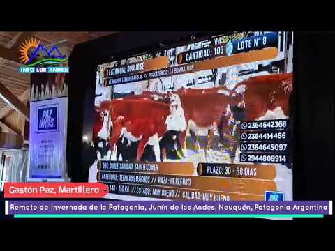 Remate de Invernada de la Patagonia, Junín de los Andes, Neuquén, Patagonia Argentina