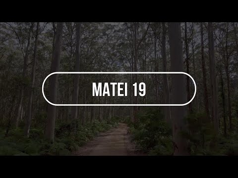 Matei 19