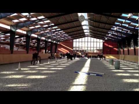 Hestadagar-Fortbildung - Kronshof 26.02.2012 - isibless