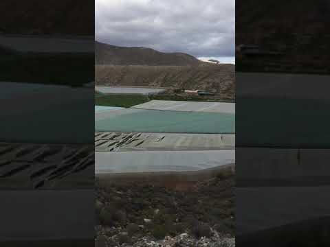 Termz Ft Yg - Casualty Preview