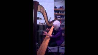 Semi Precious Weapons - Leave Your Pretty To Me (Harp Cover)