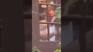 Download lagu Rohit and Rahul experience rain like Mumbai in USA #shorts #viratkohli #rohitsharma mp3