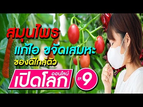 ทุกชนิดของค้อนของ ธ อร์ ยาโป๊ที่แข็งแกร่งสำหรับผู้หญิงที่จะซื้อ