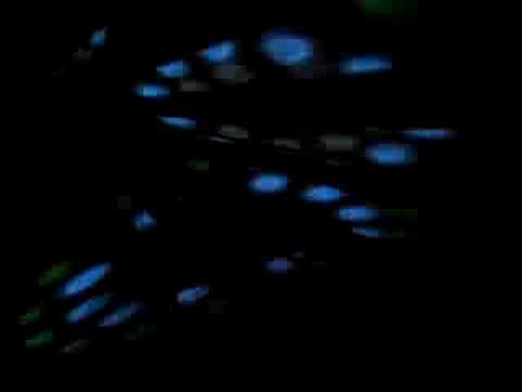 Chris Tietjen @ Eargasm Open Air 2008/2