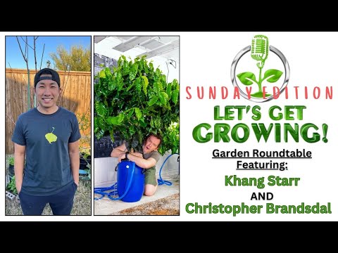 Let's Try This Again! | Sunday Edition Roundtable with Khang Starr and Christopher Brandsdal