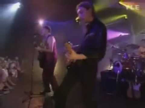 Neljä Ruusua: Juppihippipunkkari (live @ Tavastia-klubi 2000)