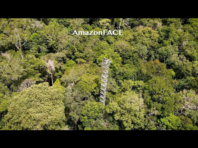 youtube video id=0qCcz6hMhTo