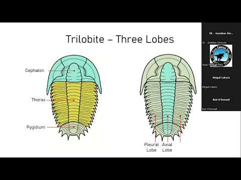 Trilobite Lecture with Jon Ginouves