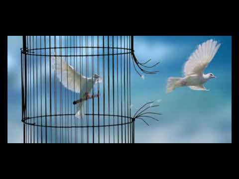 Etre délivré des malédictions de nos  ancêtres 2 - pasteur Salvatore Gentile