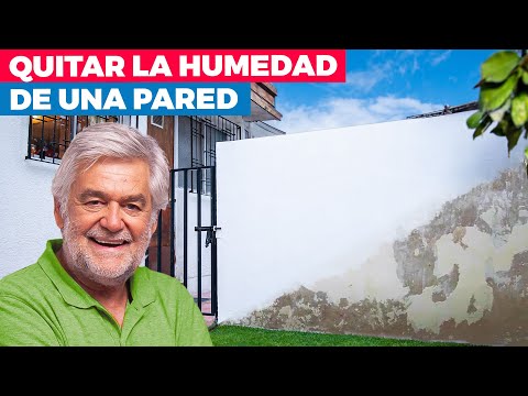 How to remove moisture from an exterior wall