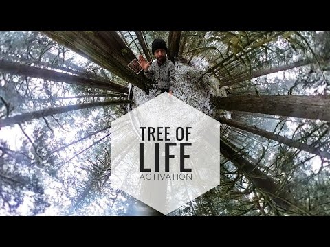 Tree Of Life Activation