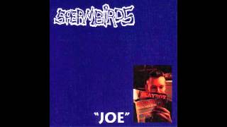 spermbirds - real life (digging a hole)